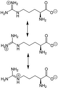 Arginine