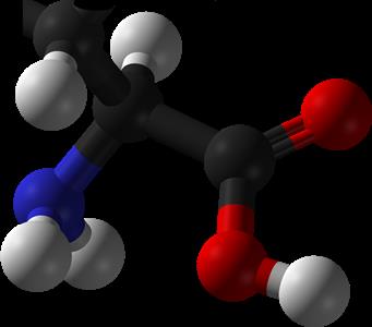 Tryptophan