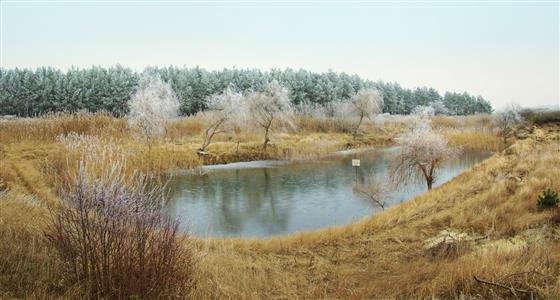 pond