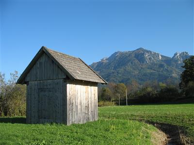 shed
